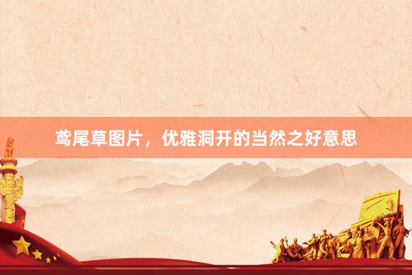 鸢尾草图片，优雅洞开的当然之好意思